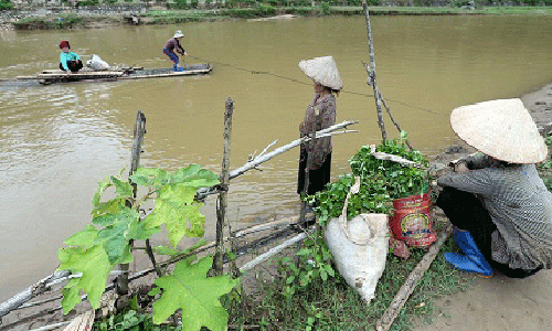 Điện Biên: Giữa mùa lũ, dân liều mình vượt suối nhờ dây thép mỏng