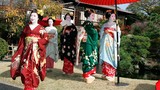 Cuộc sống bí ẩn của các thiếu nữ khổ luyện thành geisha