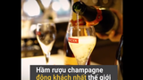 Video: Hầm rượu champagne dài 18 km