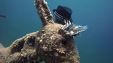 Video: Phát hiện bức tượng kỳ lạ đội mũ dưới đáy biển Ai Cập