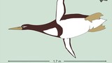 Phát hiện dấu vết chim cánh cụt to bằng người