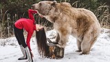 Mãn nhãn những động tác uốn dẻo của cô gái với gấu nâu khổng lồ