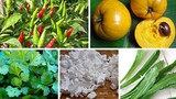 Nông sản Việt Nam được chào bán trên Amazon với giá cao ngất ngưởng