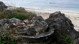 "Nghĩa địa" san hô hóa thạch 6.000 năm, rộng 20.000 m2 ở Lý Sơn