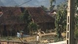 Video: Báo nước ngoài đăng cảnh cây bị cưa đổ "chặt" đứt đôi nhà ở VN