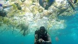 Video: Kinh hoàng cảnh biển Bali bị con người làm cho “nghẹt thở“