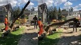 Video: Cưa cây bất cẩn, cây bất ngờ đổ đè bẹp đồng nghiệp