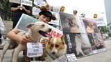 Tòa án Hàn Quốc cấm giết chó để ăn thịt