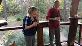 Chuyện tình kỳ lạ trong ngôi nhà giữa rừng của vợ chồng người Australia