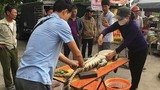 Video: Cận cảnh chích điện, mổ thịt cá sấu ở bến xe