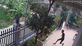 Video: "Tập đoàn choai choai" vác dao kiếm xông vào nhà dân chém người