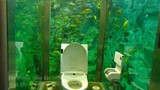 Video: Nhà vệ sinh như thủy cung, khách hàng vào không muốn ra