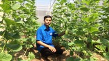 Kỹ sư về quê trồng dưa lê Hàn Quốc, bỏ túi hàng trăm triệu