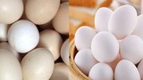 5 mẹo giúp chọn trứng gà ta, không nhầm với trứng gà công nghiệp