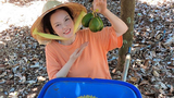 Rời Sài Gòn, Lý Nhã Kỳ về vườn làm nông dân rao bán trái cây