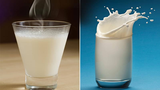 Sữa nóng hoặc sữa lạnh: Cái nào tốt hơn cho sức khỏe?