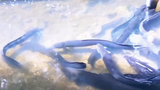 Video: Bạn sẽ thế nào nếu nhảy vào bể chứa 100 con lươn điện?