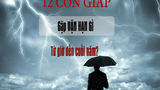 Vận hạn của 12 con giáp nửa cuối năm 2020