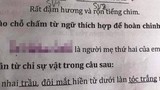 Cậu nhóc lớp 1 có câu trả lời khiến người nghe câm nín