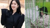 Ngôi sao nổi tiếng như Jang Nara cũng phải đi dọn vệ sinh giữa mùa dịch