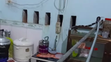 Video: Tá hoả phát hiện rắn cặp nia dài hơn 1m chui vào nhà bếp