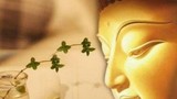 Phật dạy 3 cảnh giới lớn mà con người hiểu được sẽ thọ ích cả đời