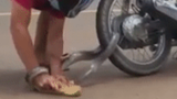 VIdeo: Thấy con rắn quấn vào bánh xe, người đàn ông liều lĩnh làm điều này