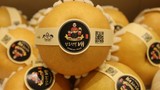 Tràn lan lê "nhái" Hàn Quốc trên thị trường