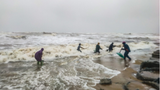Hàng tấn sò mai theo sóng dạt vào bờ, người dân kéo nhau đi vợt
