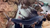 Video: Thả con cá kiếm xuống nước, kết quả đầy bất ngờ!