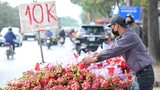 Thanh long Việt Nam xuất sang châu Âu giá 400.000 đồng 1 quả