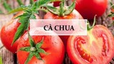 Cà chua - thực phẩm "vàng" trong "làng" trị mụn được chị em ưa chuộng 