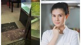 Nhà hàng của Kim Thư bị tạt mắm tôm sau màn đe dọa