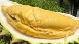 Trở lại vị thế "vua trái cây", cơm sầu riêng giá 450-500 nghìn/kg