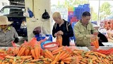 HTX Hải Dương bán 20 tấn cà rốt sang Hàn Quốc, Nhật Bản