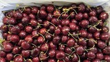 Quả cherry giàu dinh dưỡng vốn đắt đỏ thường nhà giàu hay mua