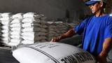 Trung Quốc, Philippines ồ ạt mua gạo Việt Nam