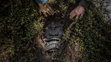 "Hòn đảo yêu tinh" - nơi lưu truyền thuyết quái vật rùng rợn ở Nhật Bản