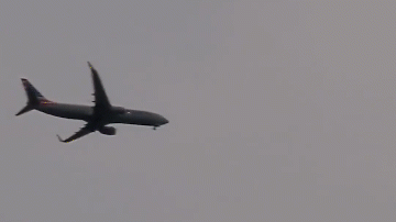 Video: Đâm phải chim, động cơ máy bay bốc cháy giữa không trung