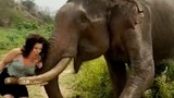 Video: Người phụ nữ gánh hậu quả khi trêu voi bằng trái chuối