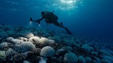 Nhiệt độ đại dương cao kỷ lục, giới khoa học tìm câu trả lời