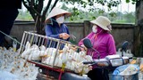 Nỗi buồn nông dân: Giá nông sản giảm, nguyên liệu đầu vào tăng 