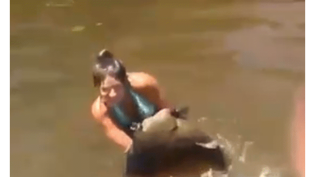 Video: Cô gái dùng tay không bắt cá trê khổng lồ và cái kết 