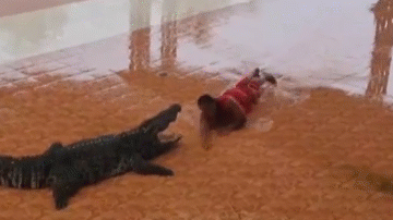 Video: Người đàn ông chui đầu vào miệng cá sấu và cái kết