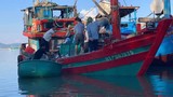 Ngư dân Hà Tĩnh thu 600 triệu đồng chỉ một đêm ra khơi