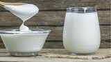 Sữa hay sữa chua, cái nào bổ sung canxi nhiều hơn? 