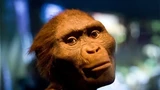 Con người đầu tiên xuất hiện trên Trái Đất bằng cách nào?