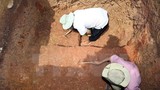Quảng Ngãi: Tiến hành khai quật khảo cổ khẩn cấp tháp Núi Bút