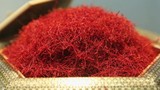“Vàng đỏ” 650 triệu đồng/kg làm giả từ bột nghệ và hóa chất 