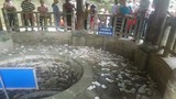 Bất chấp biển cấm, người dân chen nhau ném tiền vào giếng cổ Đền Hùng